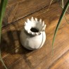 Vase grenade pm